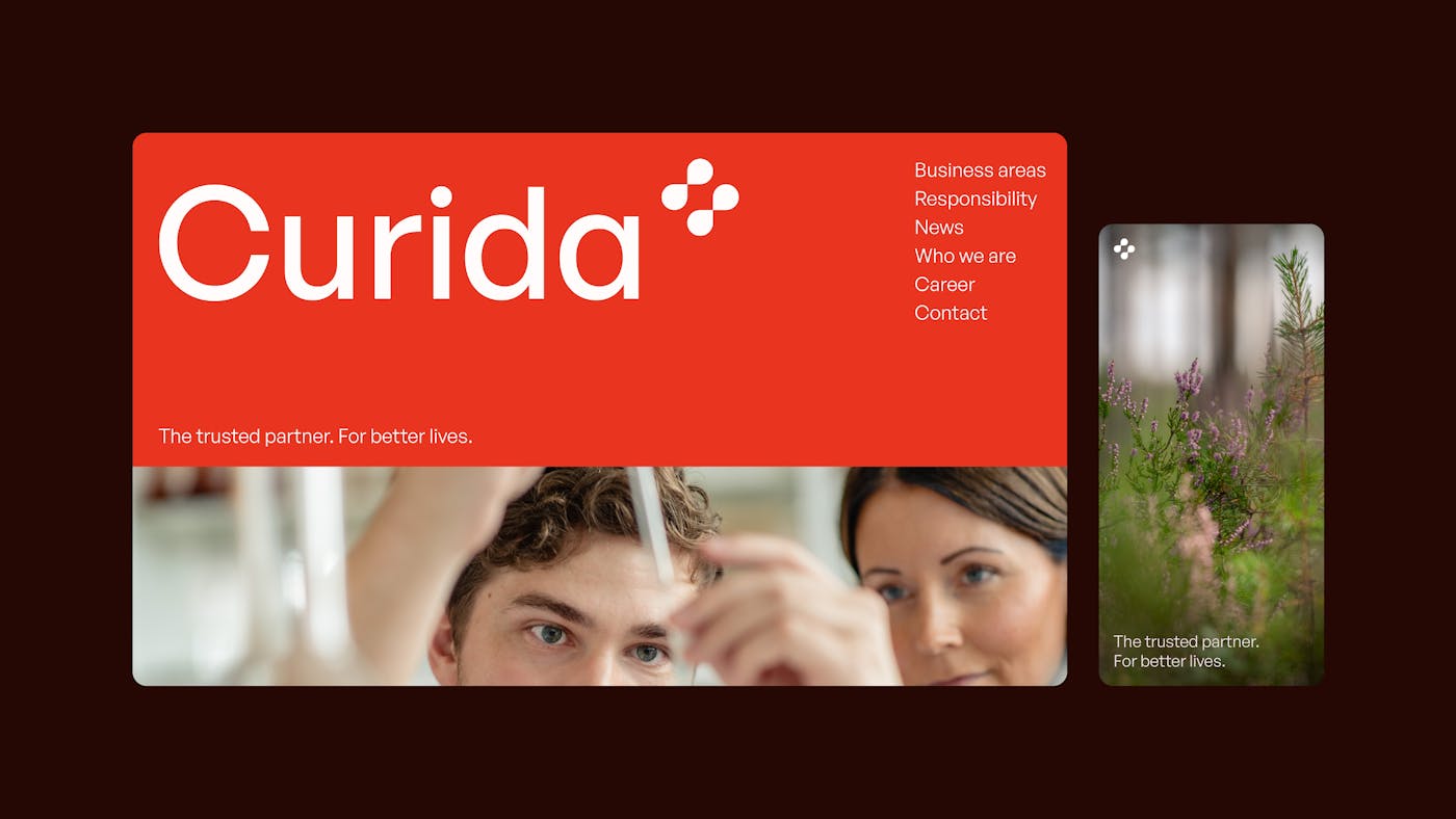 01 KF Curida