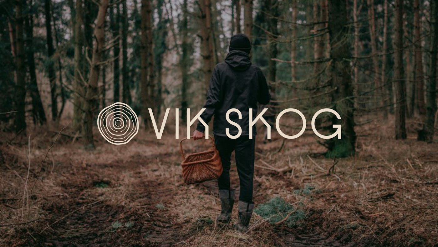 Vikskog 3840x21602